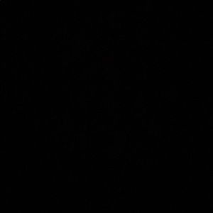 Meet your Posher, Bella